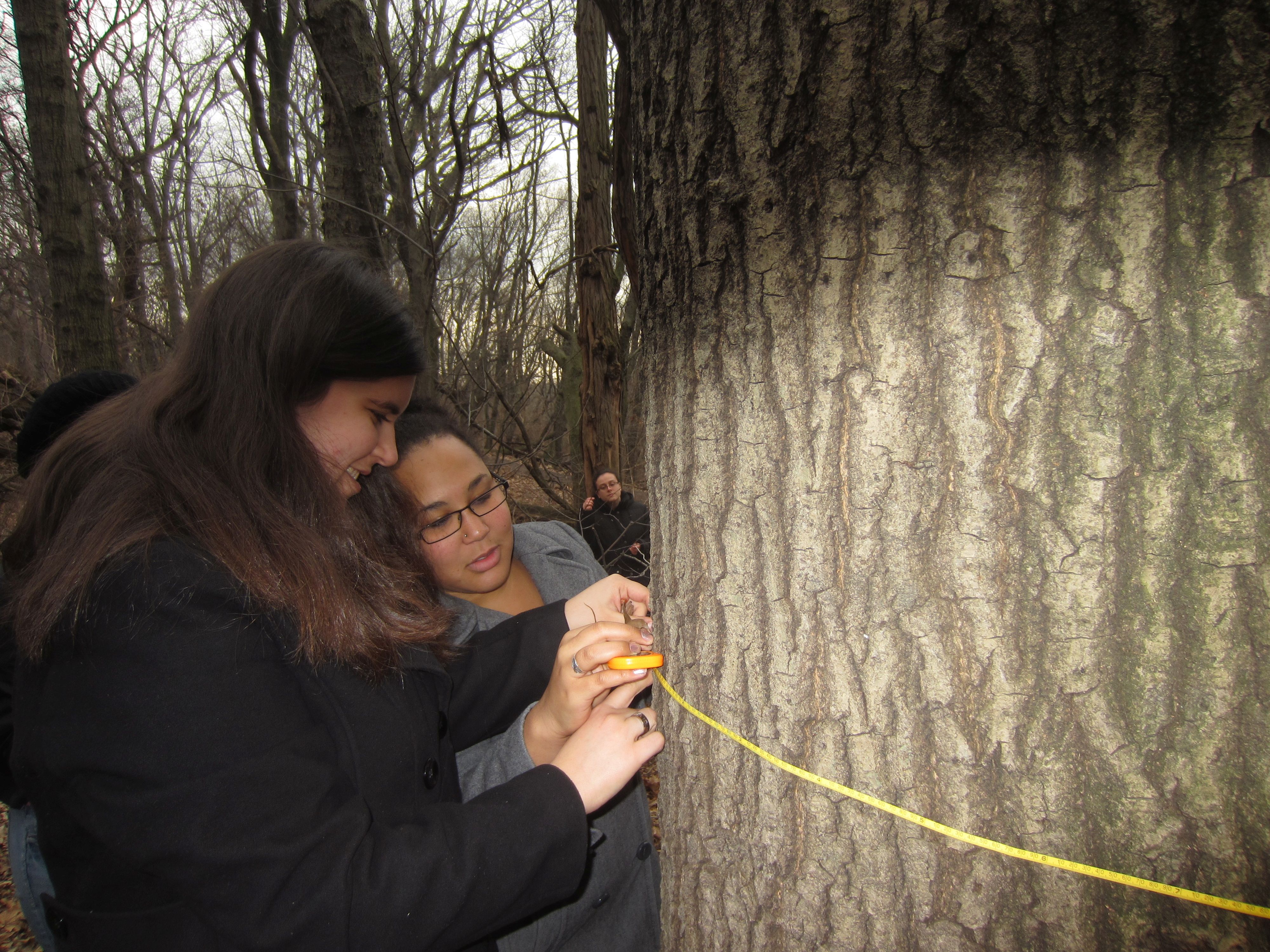 students measuring trees in Riverside Park.jpg 
