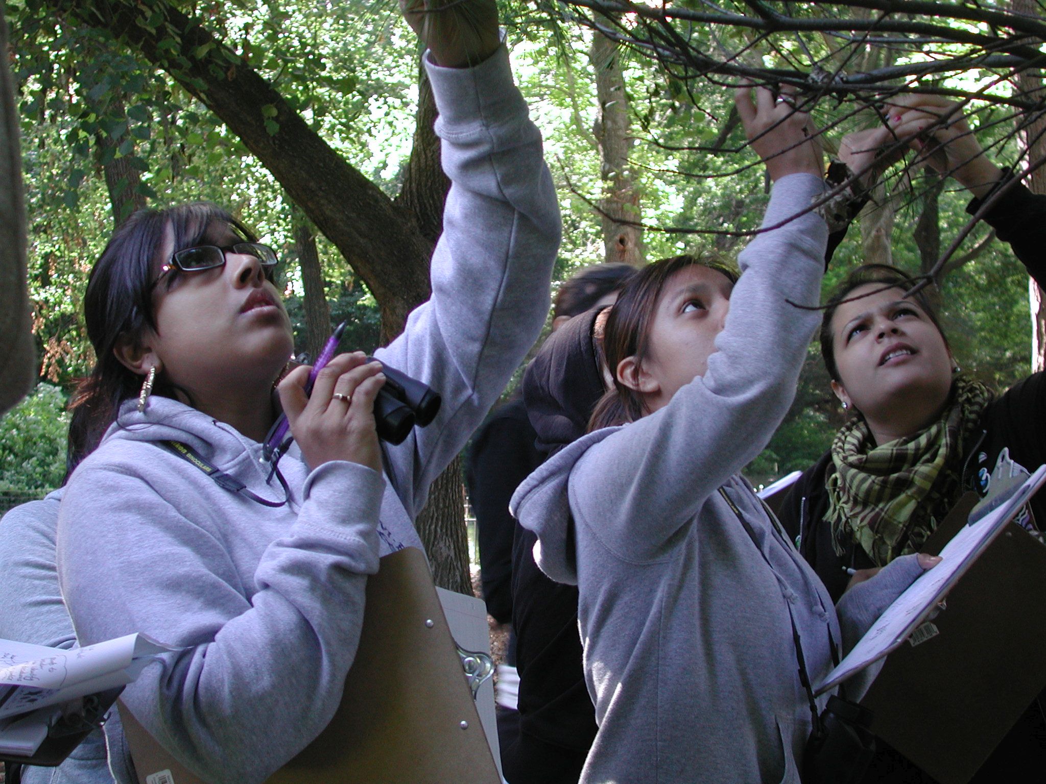 Students ID trees in Riverside Park for Barnard's environmental science lab class